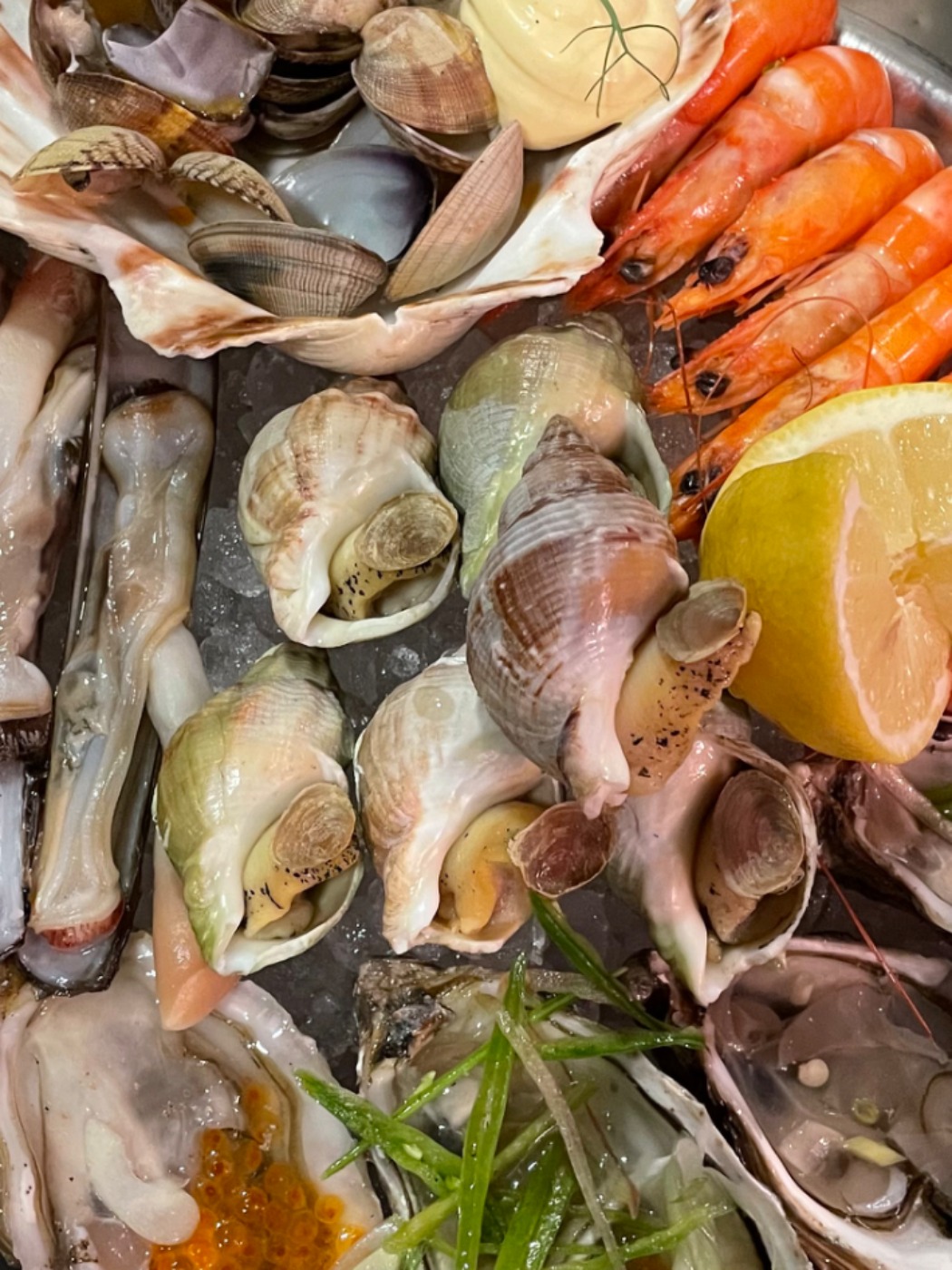 IMG_3760.jpeg IMG_3760.jpeg