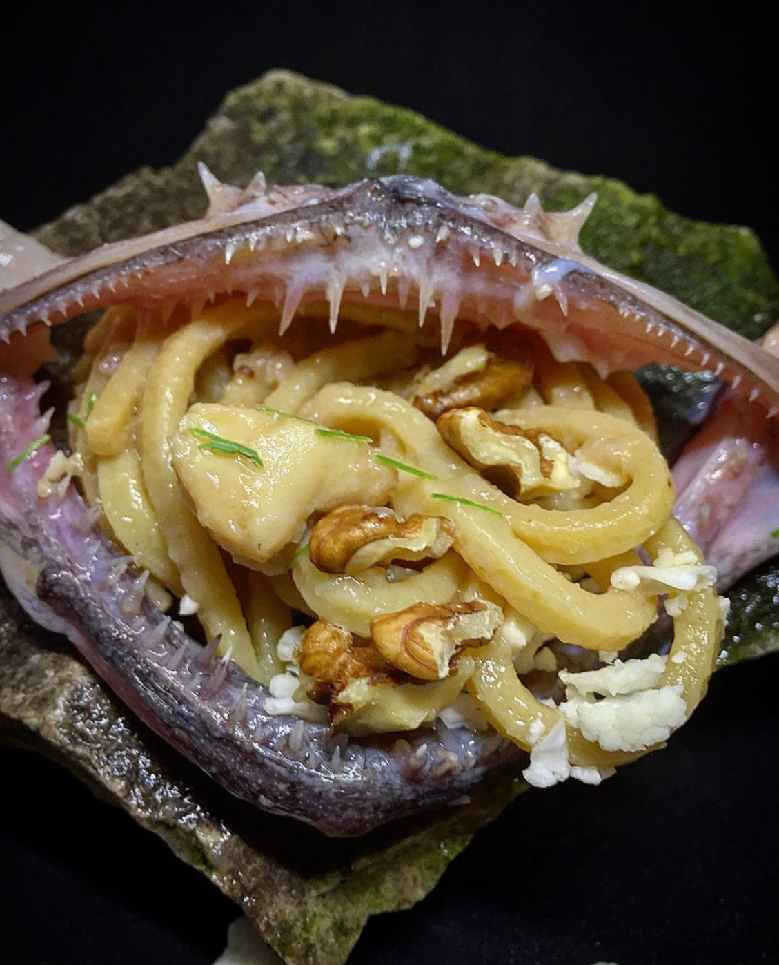 IMG_0455.jpeg IMG_0455.jpeg