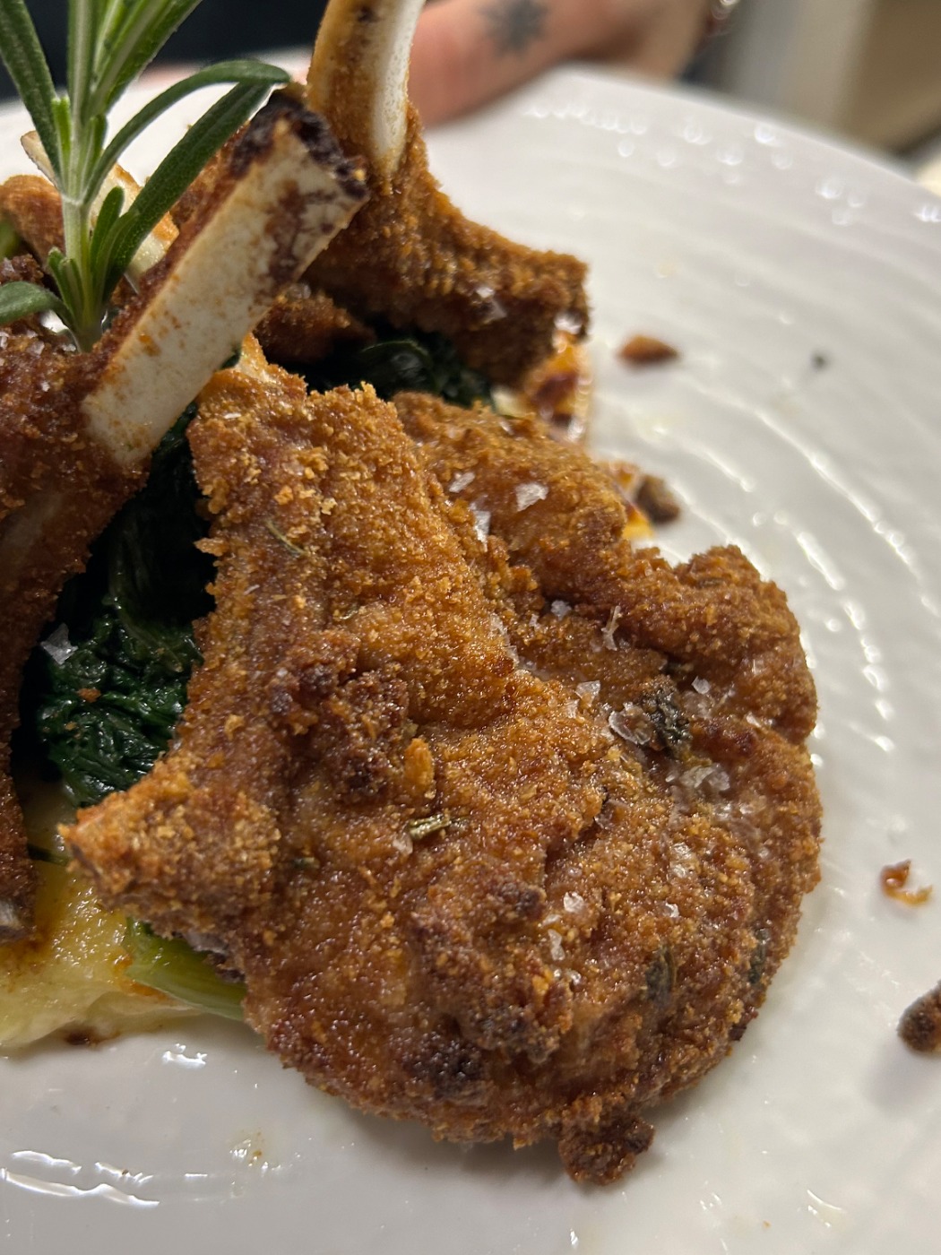 IMG_0557.jpeg IMG_0557.jpeg