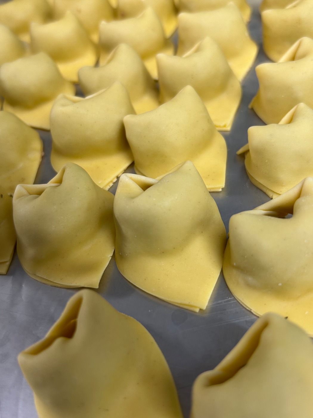 IMG_0310.jpeg IMG_0310.jpeg