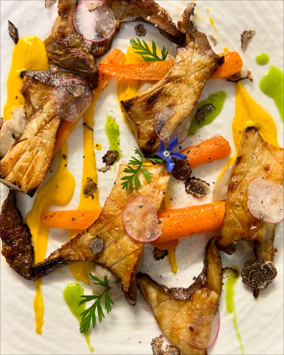 DC61695D-3FA2-480A-94F9-4C42B7FF5FEB.jpeg DC61695D-3FA2-480A-94F9-4C42B7FF5FEB.jpeg