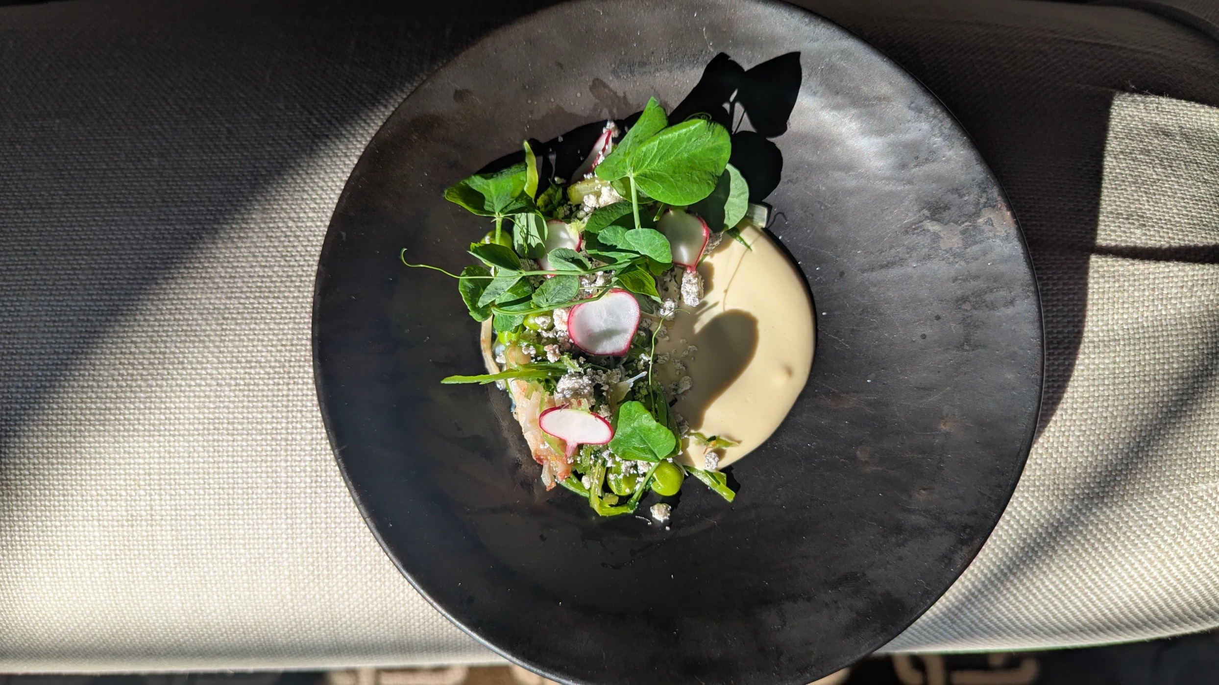 1000006487.jpg 1000006487.jpg