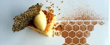 Tiramisu 2.0.jpg Tiramisu 2.0.jpg