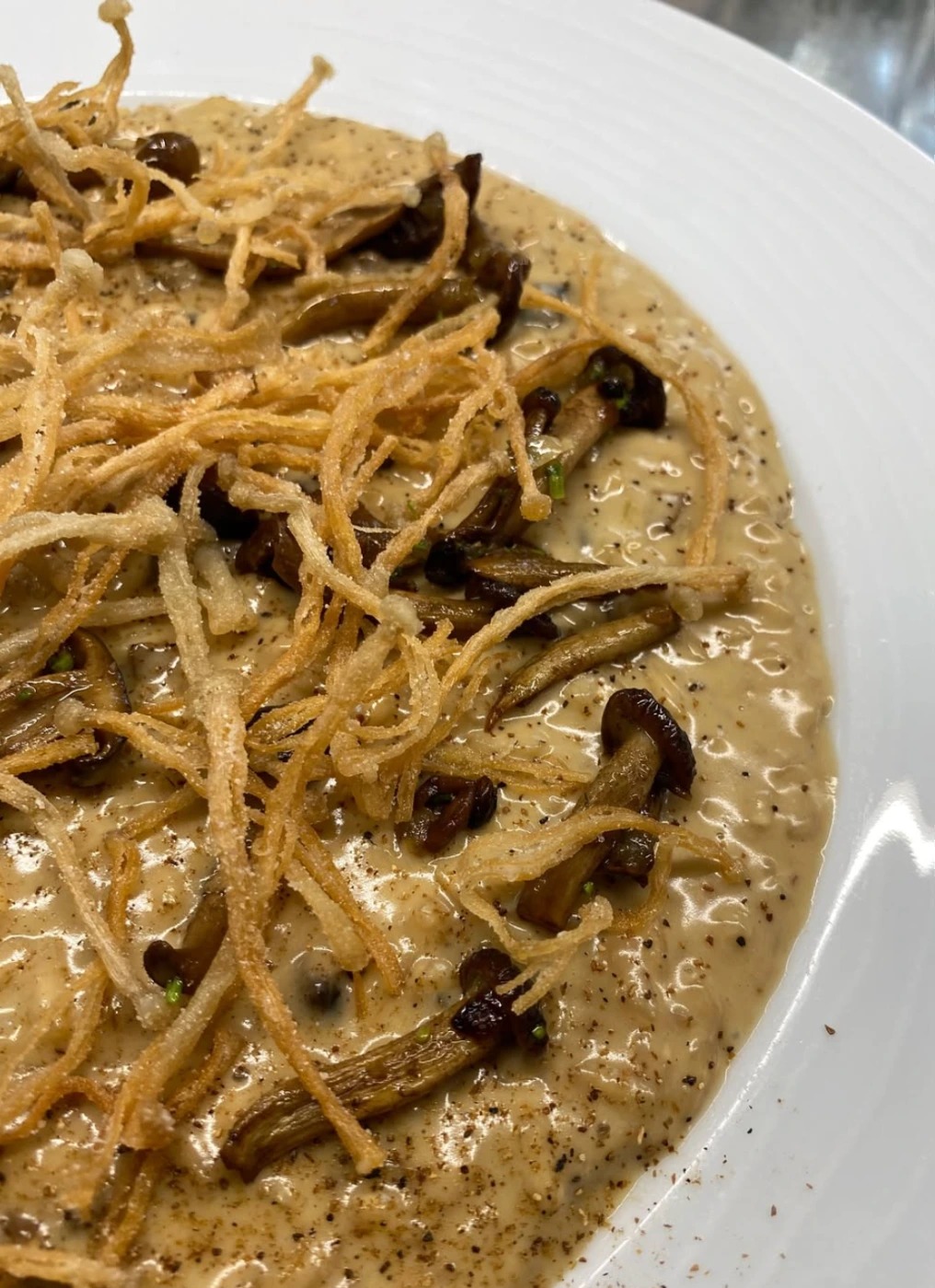 Screenshot 2025-11-13 at 12.01.00 p.m..png