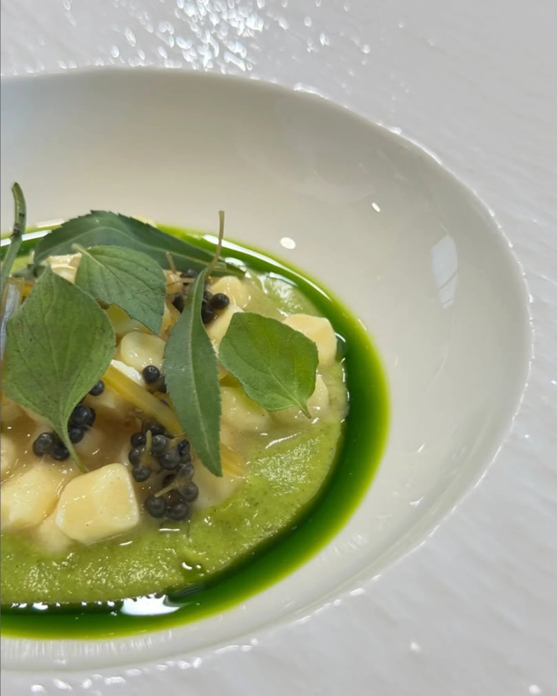 Screenshot 2025-11-13 at 12.01.15 p.m..png