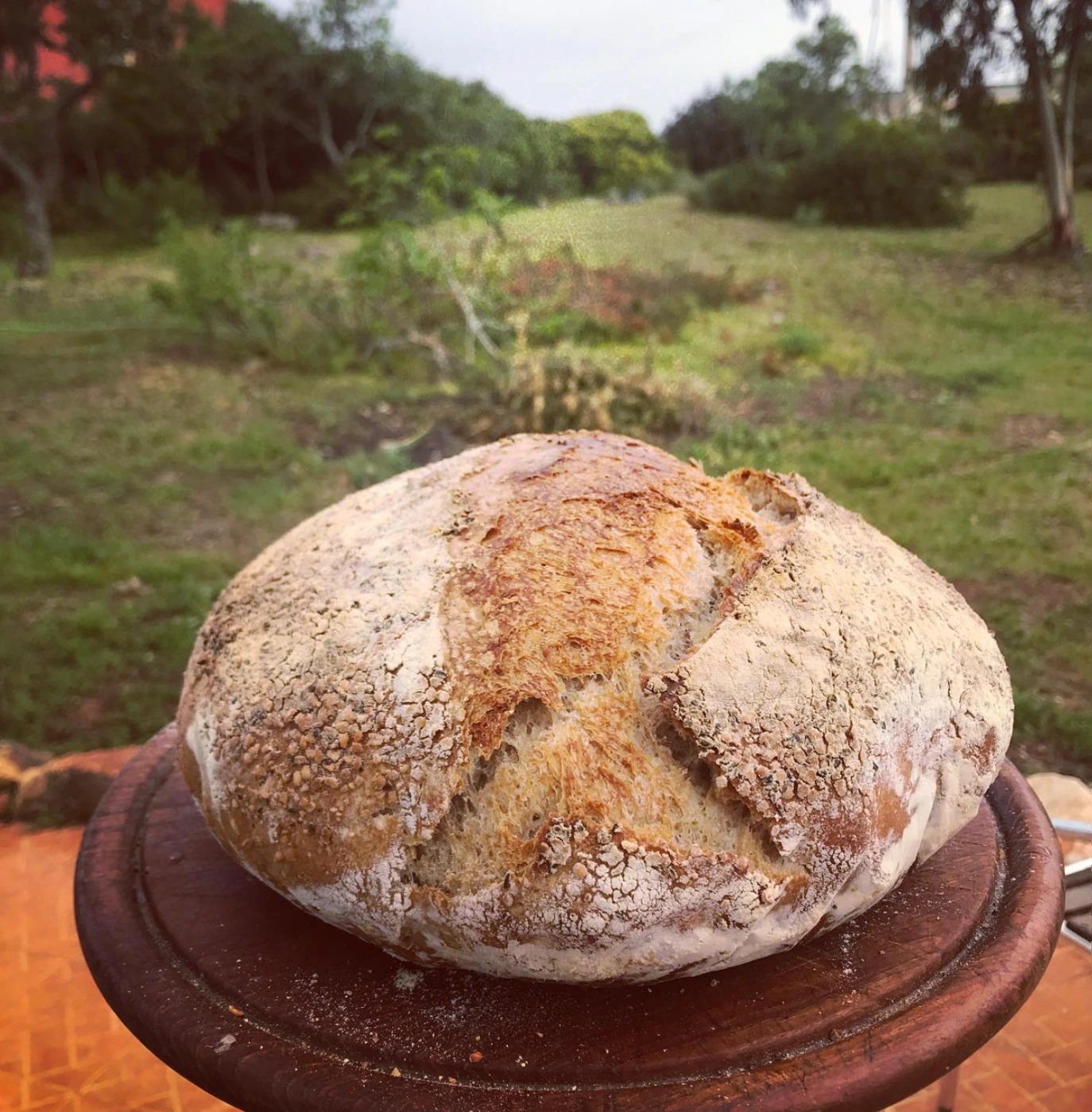 Screenshot 2025-11-13 at 12.20.08 p.m..png