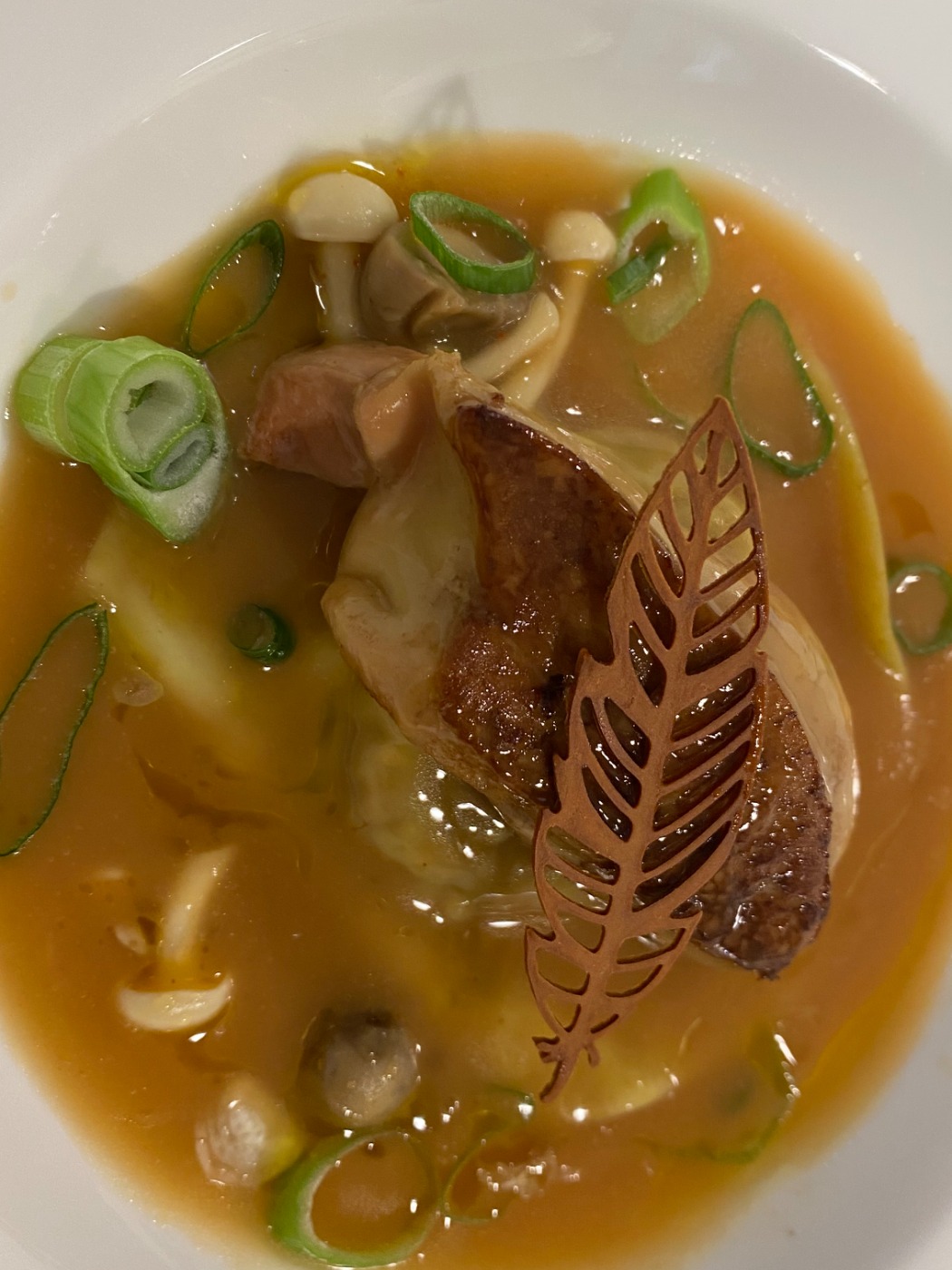 IMG_4220.jpeg IMG_4220.jpeg