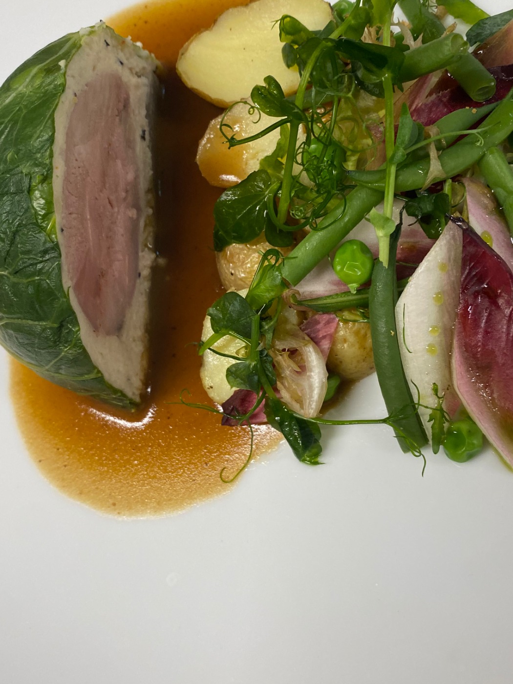 IMG_3567.jpeg IMG_3567.jpeg