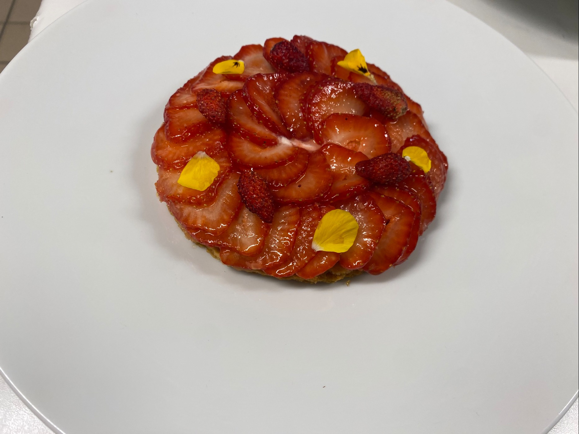 IMG_3586.jpeg IMG_3586.jpeg