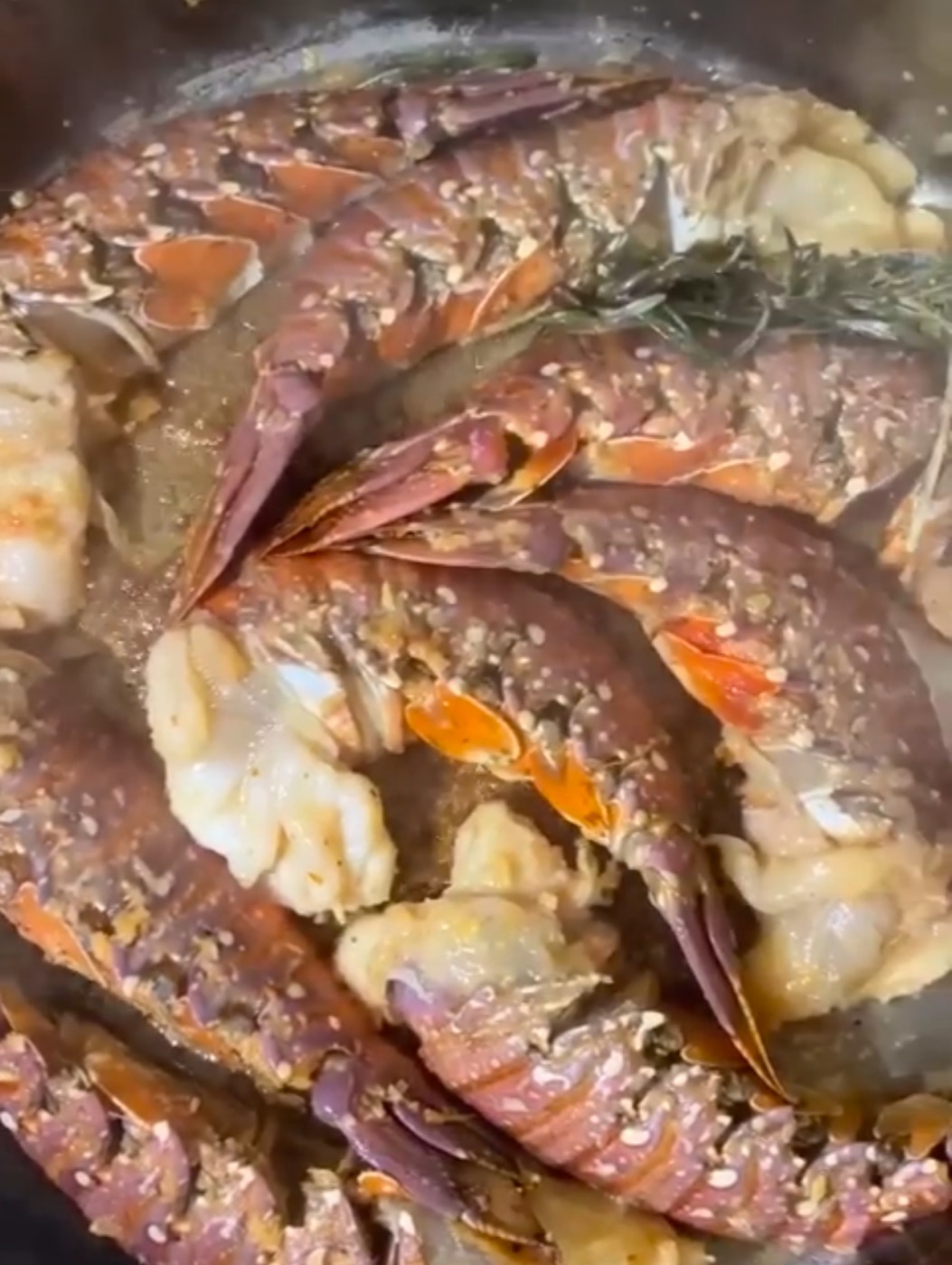 AB1935B7-D5A3-433E-981C-F39DF40D9777.jpeg AB1935B7-D5A3-433E-981C-F39DF40D9777.jpeg