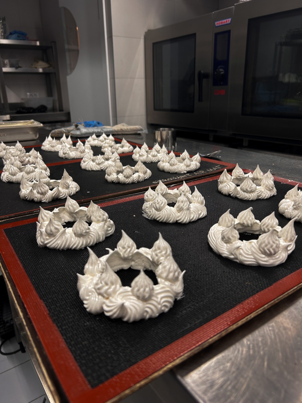 IMG_7840.jpeg IMG_7840.jpeg