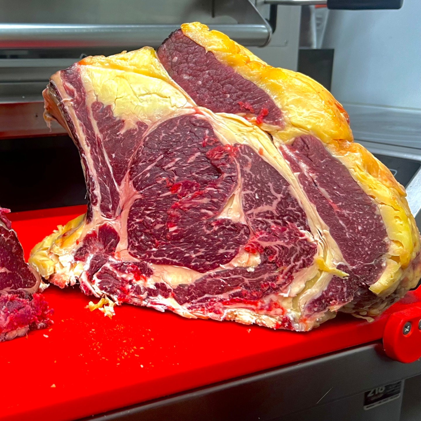 Foto di Tony Marinelli