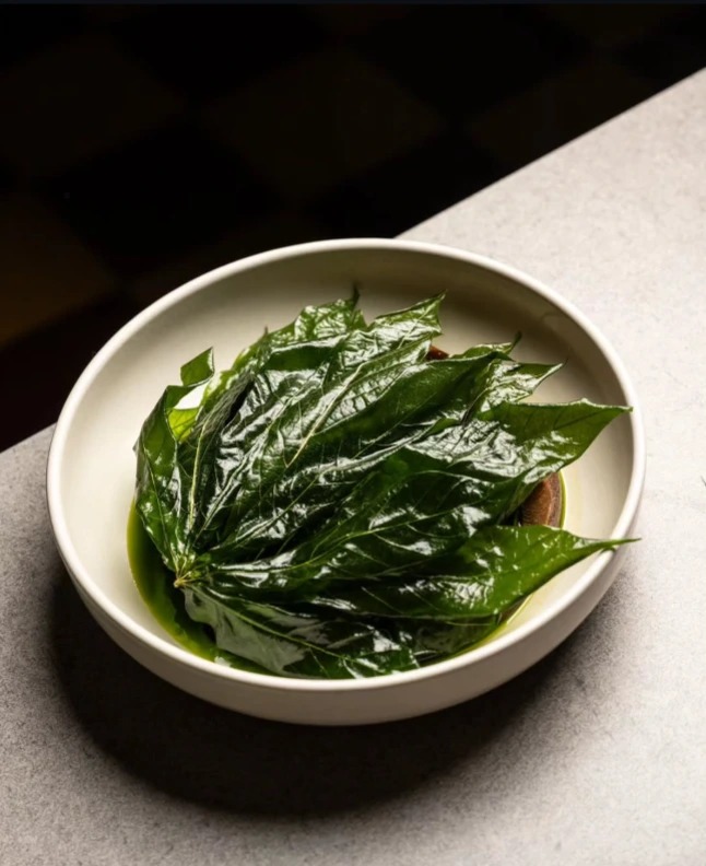 1000581441.jpg 1000581441.jpg