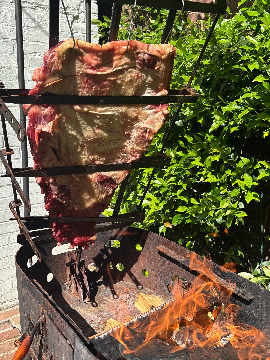 IMG_9753.jpeg IMG_9753.jpeg