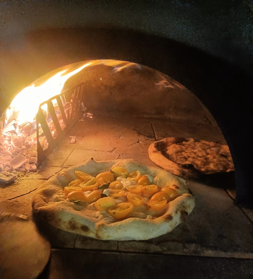 IMG20240922205935.jpg IMG20240922205935.jpg