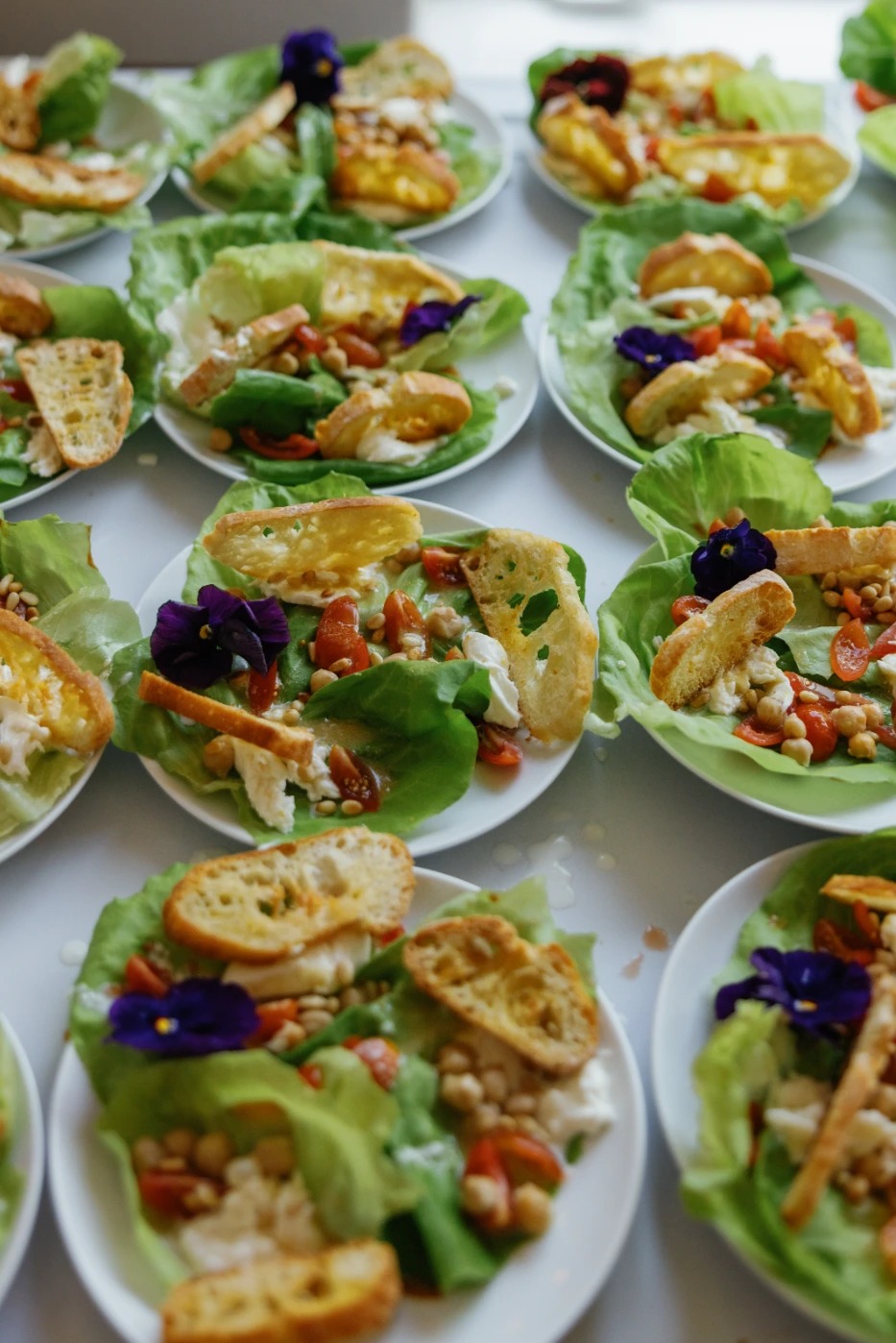 2025_08_SHAYDA-COOPER-1457.jpg 2025_08_SHAYDA-COOPER-1457.jpg