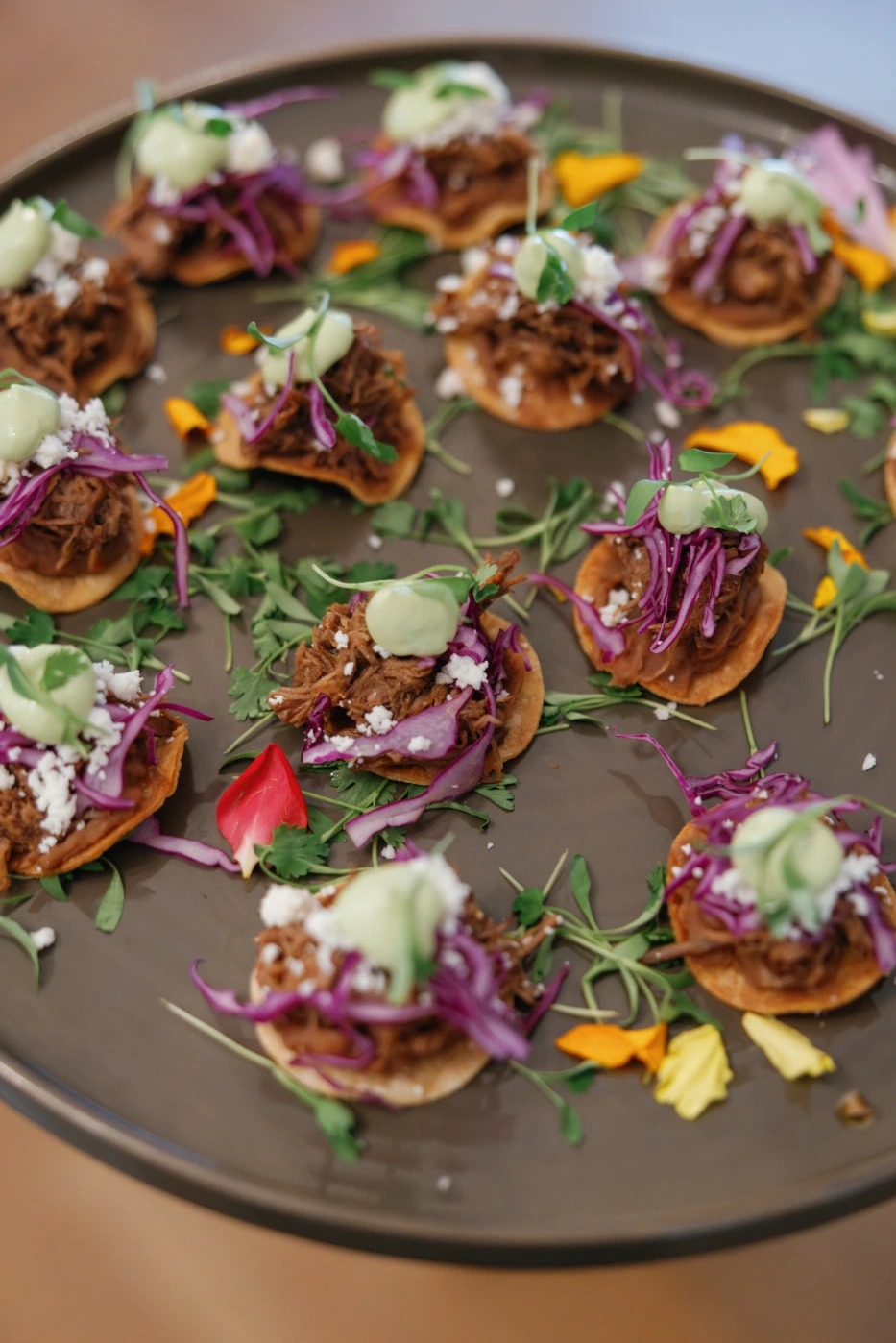 2025_08_SHAYDA-COOPER-1440.jpg 2025_08_SHAYDA-COOPER-1440.jpg