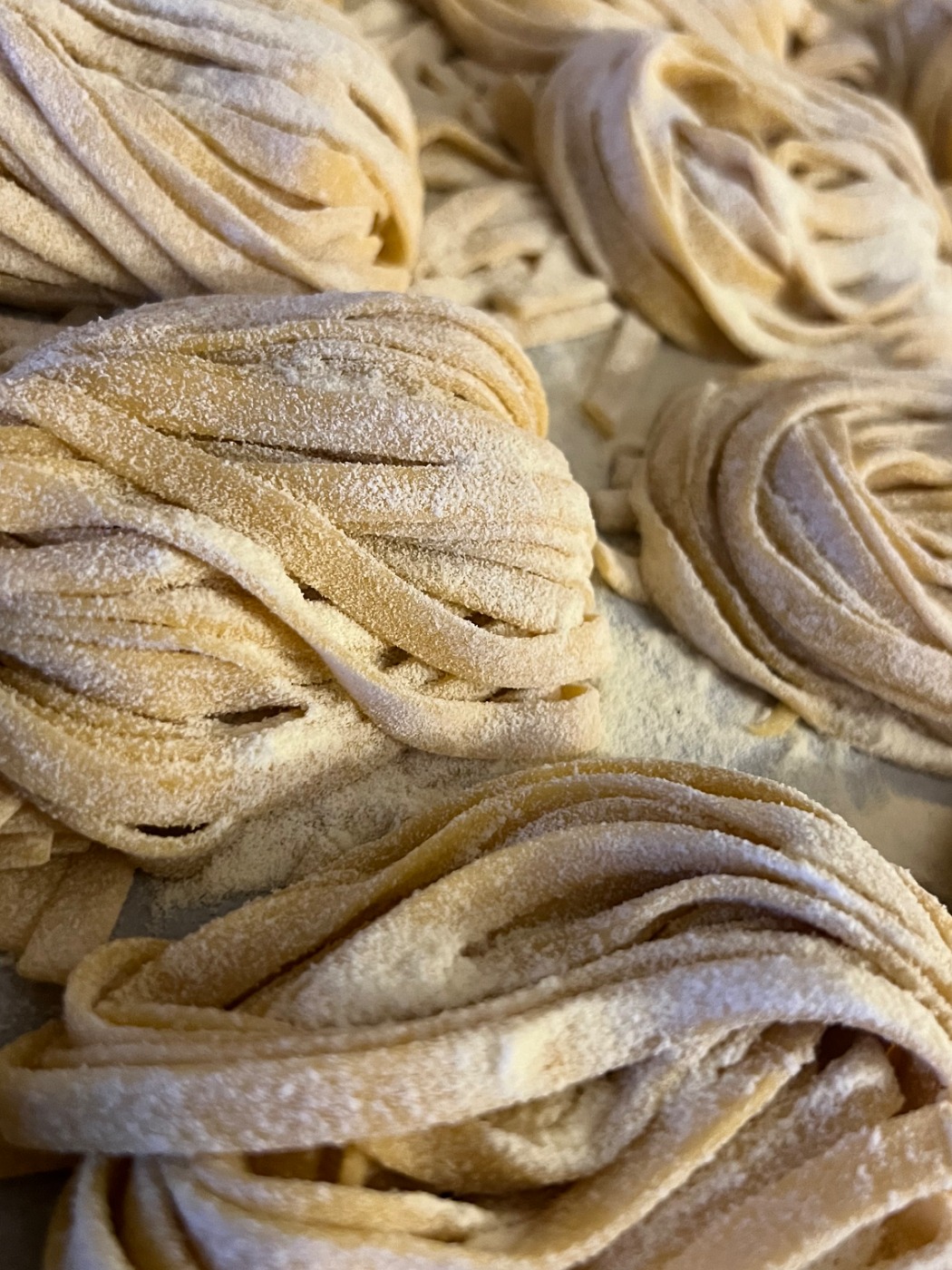 IMG_3500.jpeg IMG_3500.jpeg