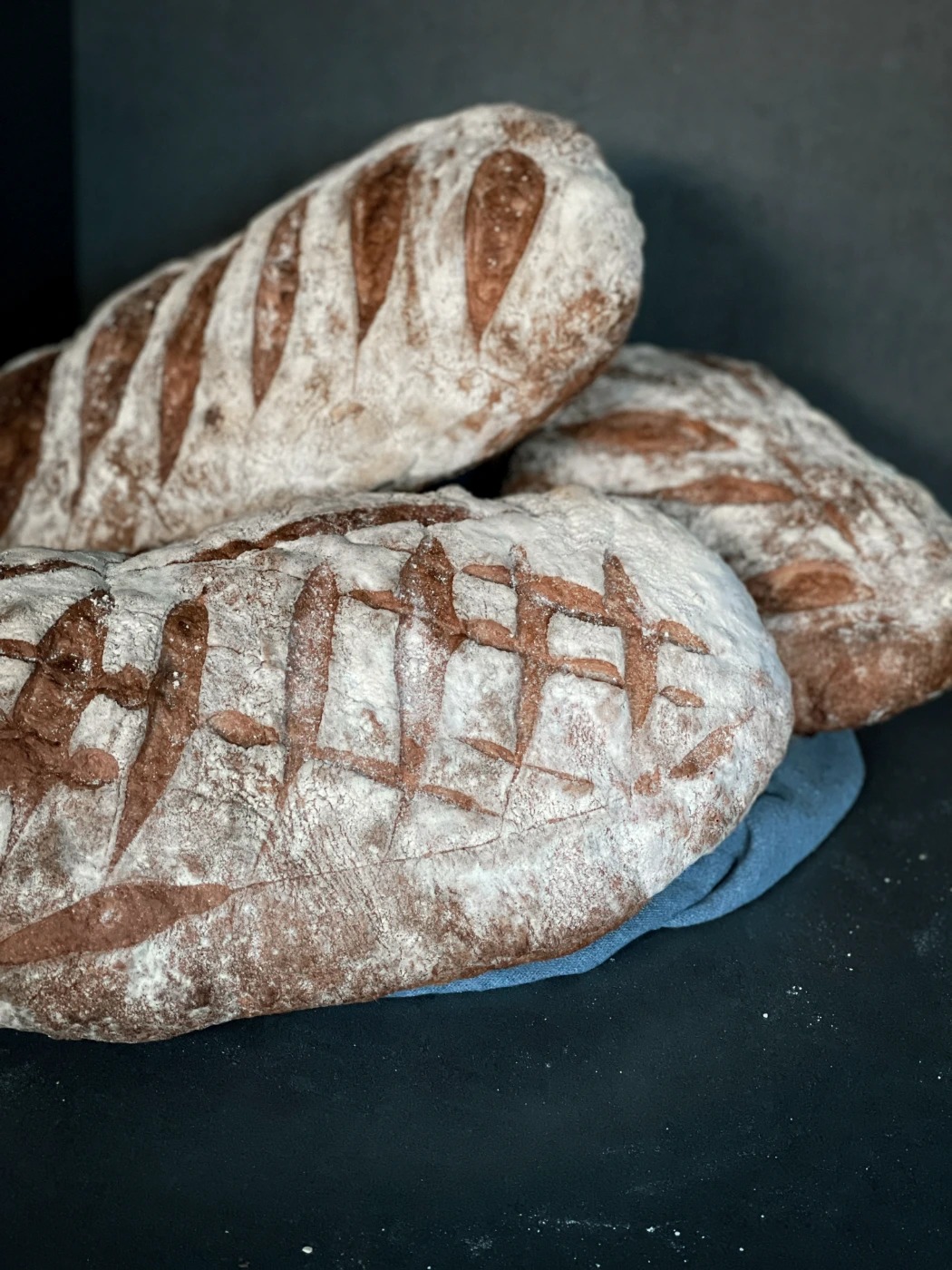 IMG_0339.jpg IMG_0339.jpg