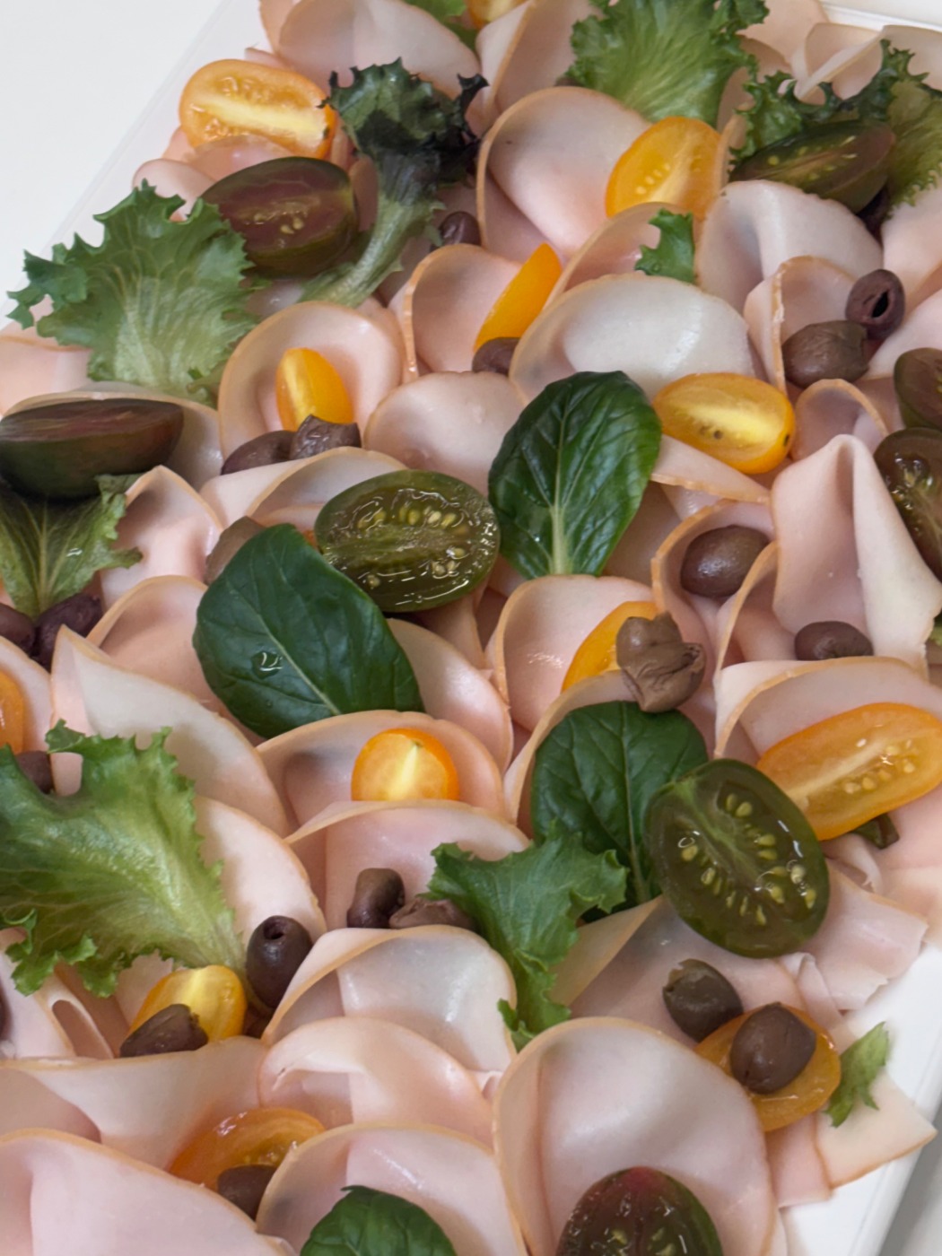 IMG_2562.jpeg IMG_2562.jpeg