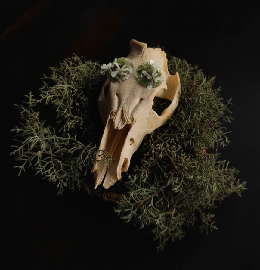 showplate winter  - sourdough - yeast snack .png