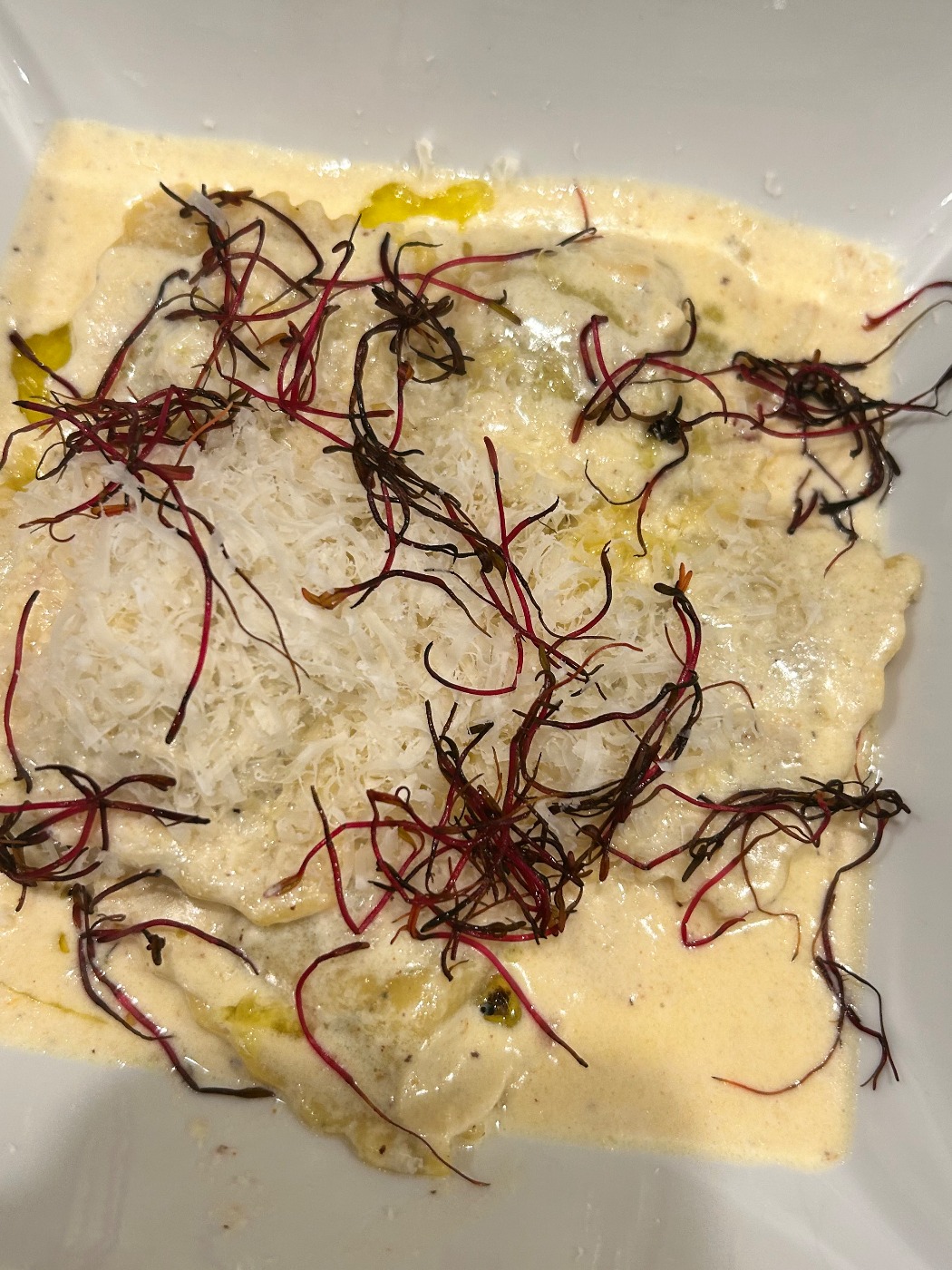 IMG_4116.jpeg IMG_4116.jpeg