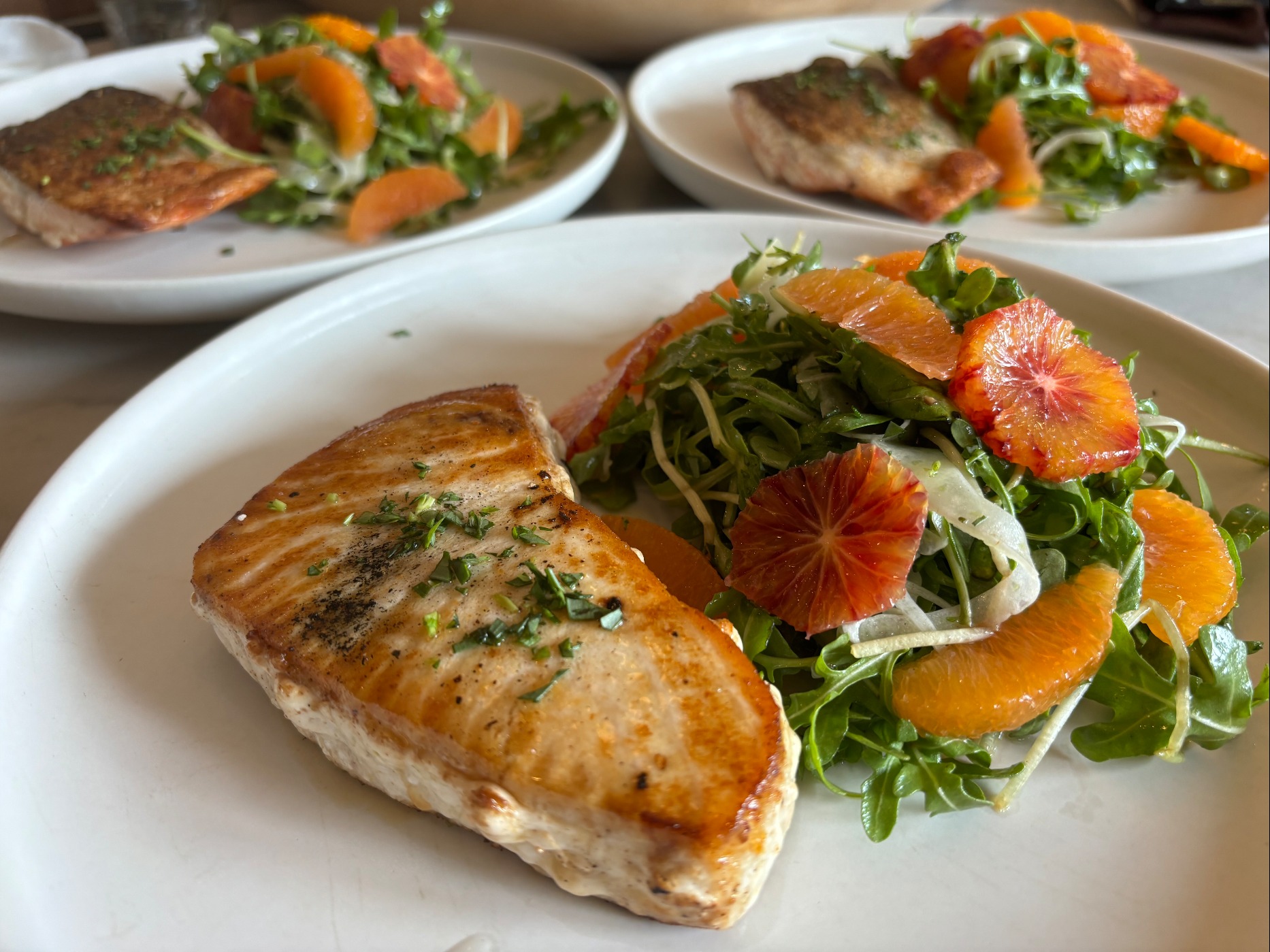 IMG_6785.jpeg IMG_6785.jpeg