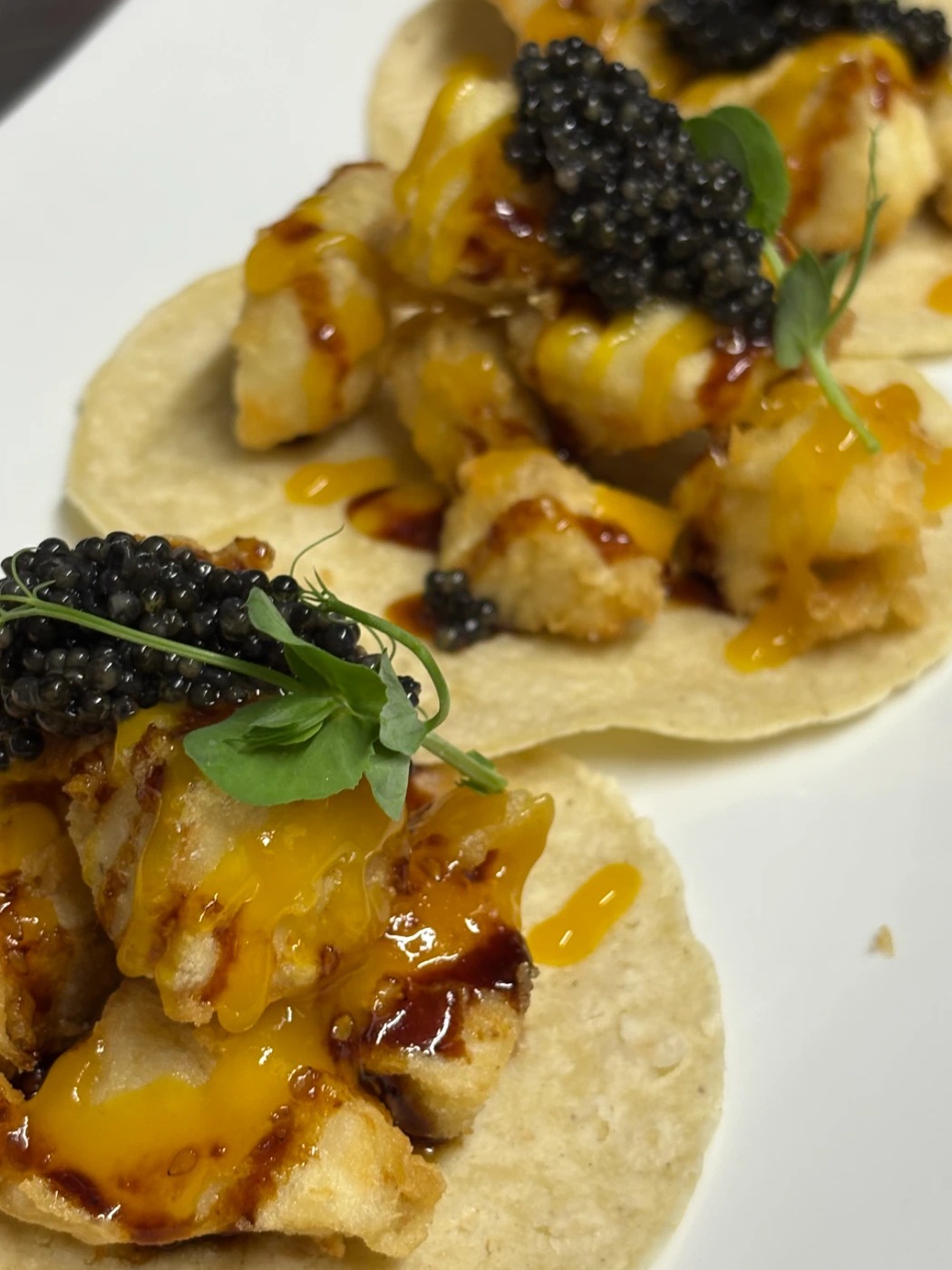 image00009.jpeg image00009.jpeg