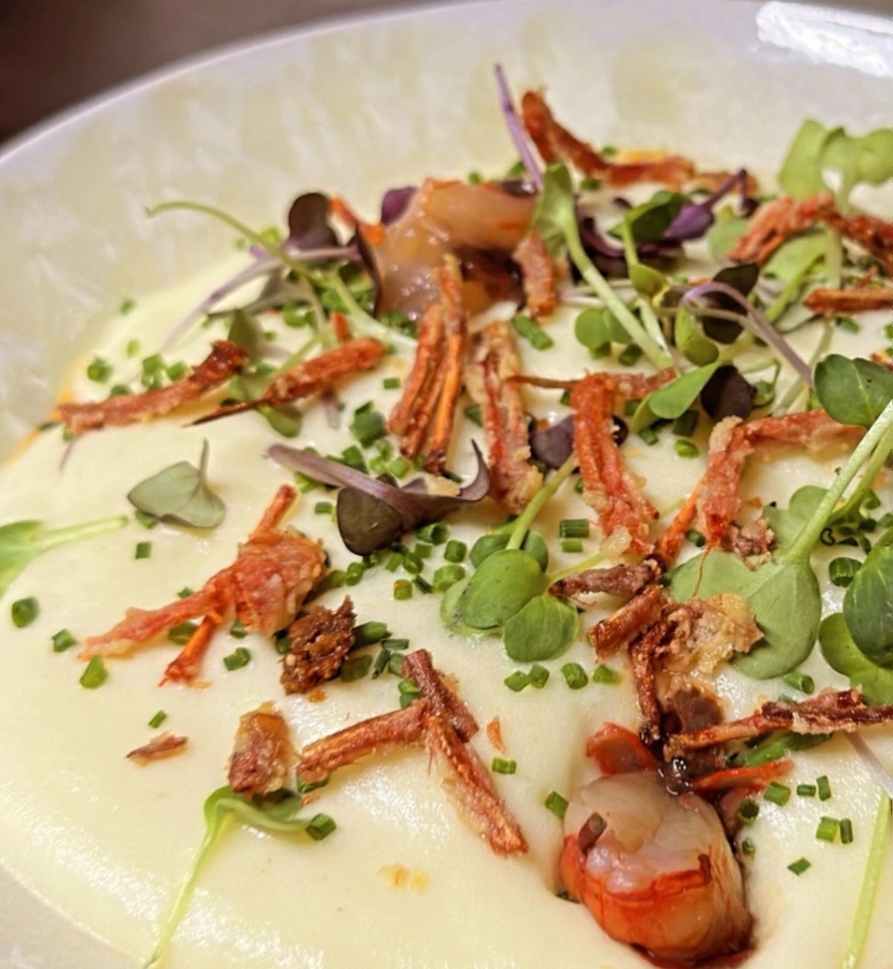 image00011.jpeg image00011.jpeg