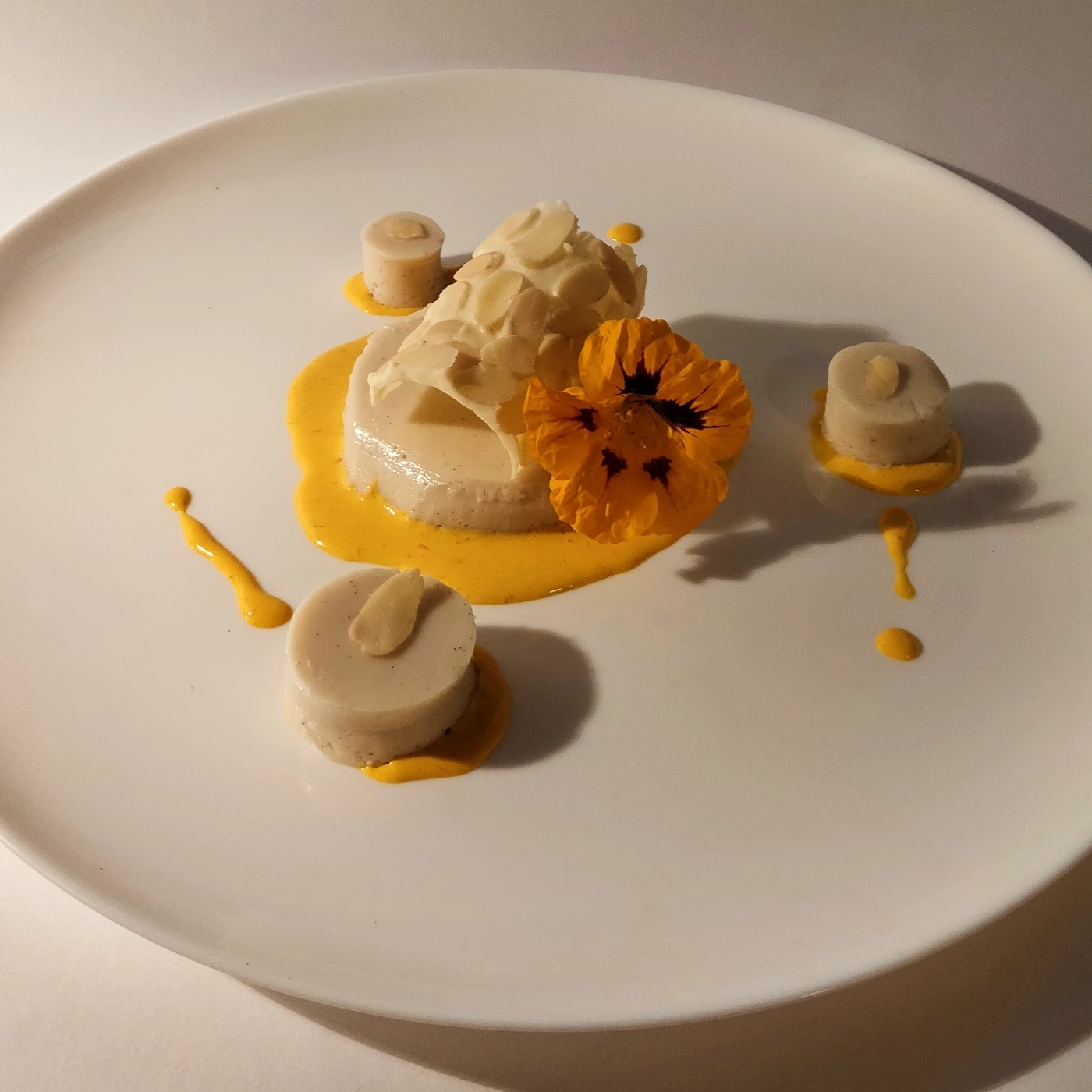 1000001632.jpg 1000001632.jpg