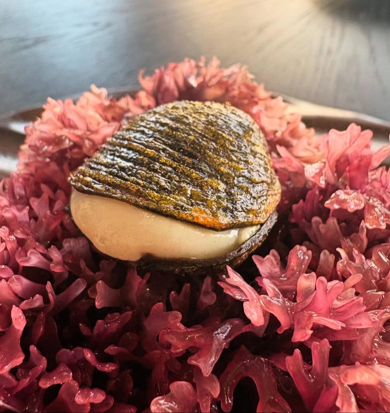 IMG_4253.jpeg IMG_4253.jpeg