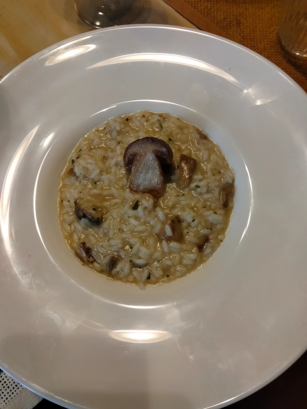 1000004426.jpg 1000004426.jpg