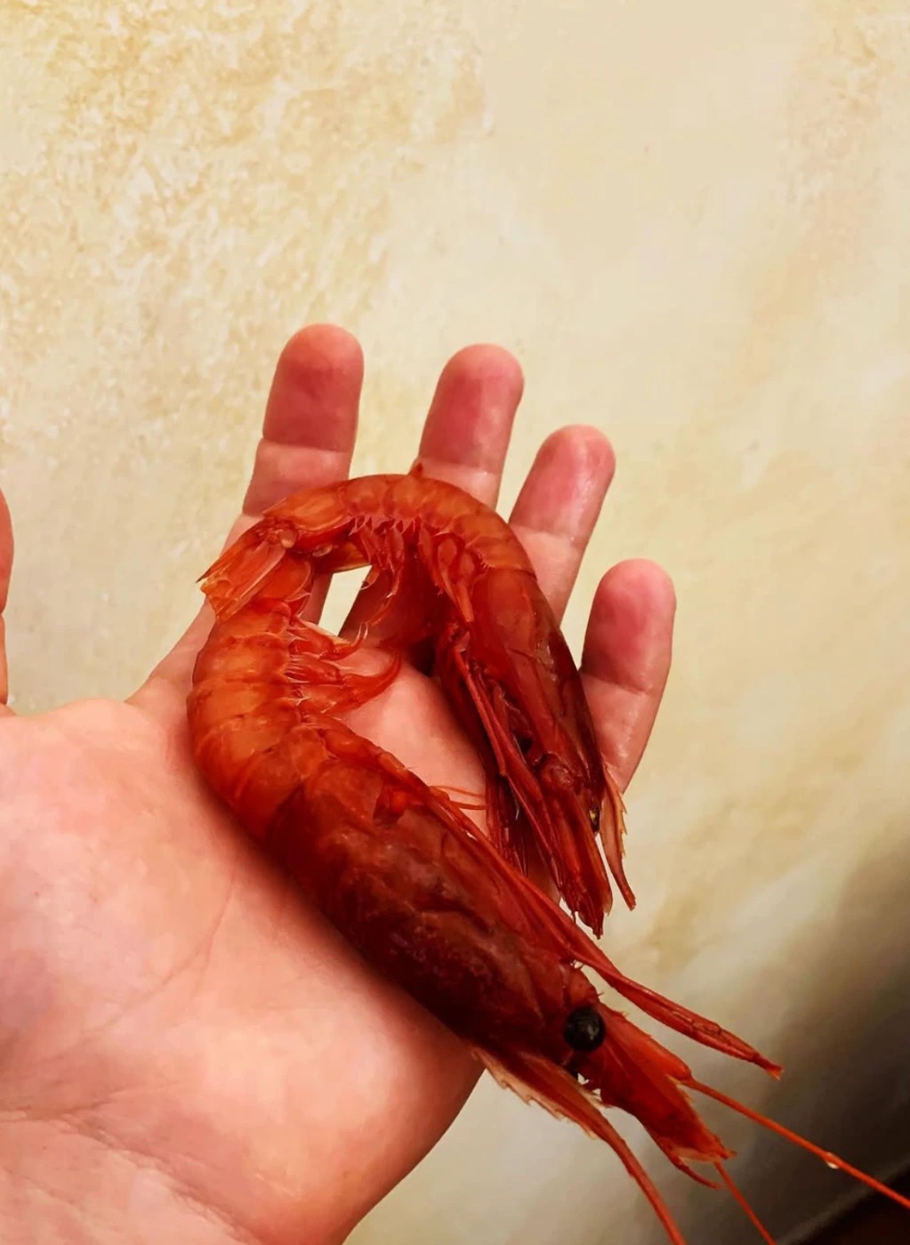 Screenshot 2025-11-18 at 2.52.31 p.m..png