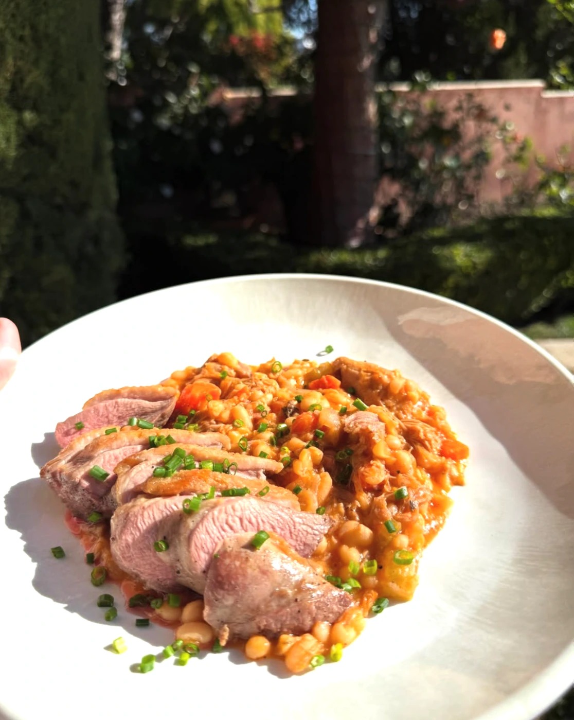 Screenshot 2025-11-18 at 4.16.11 p.m..png Screenshot 2025-11-18 at 4.16.11 p.m..png