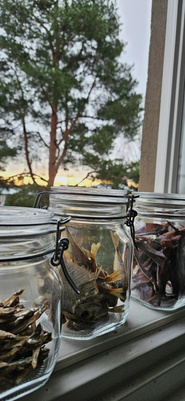 20241111_093311.jpg 20241111_093311.jpg