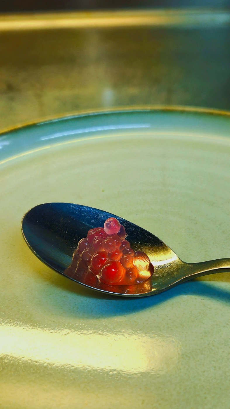 20250313_204847.jpg 20250313_204847.jpg