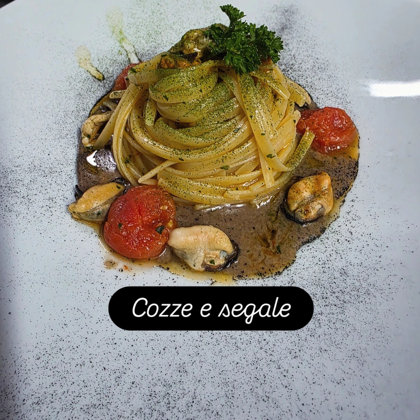 1000048726.jpg 1000048726.jpg