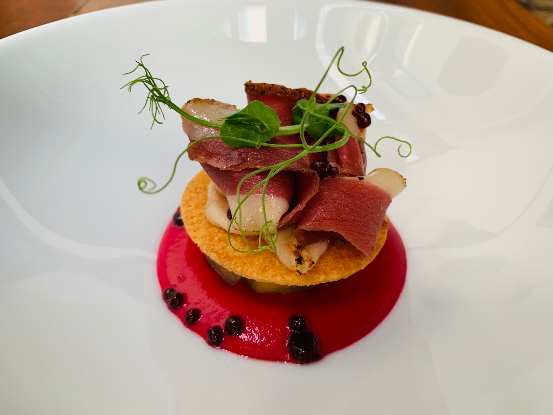 IMG_9961.jpeg IMG_9961.jpeg