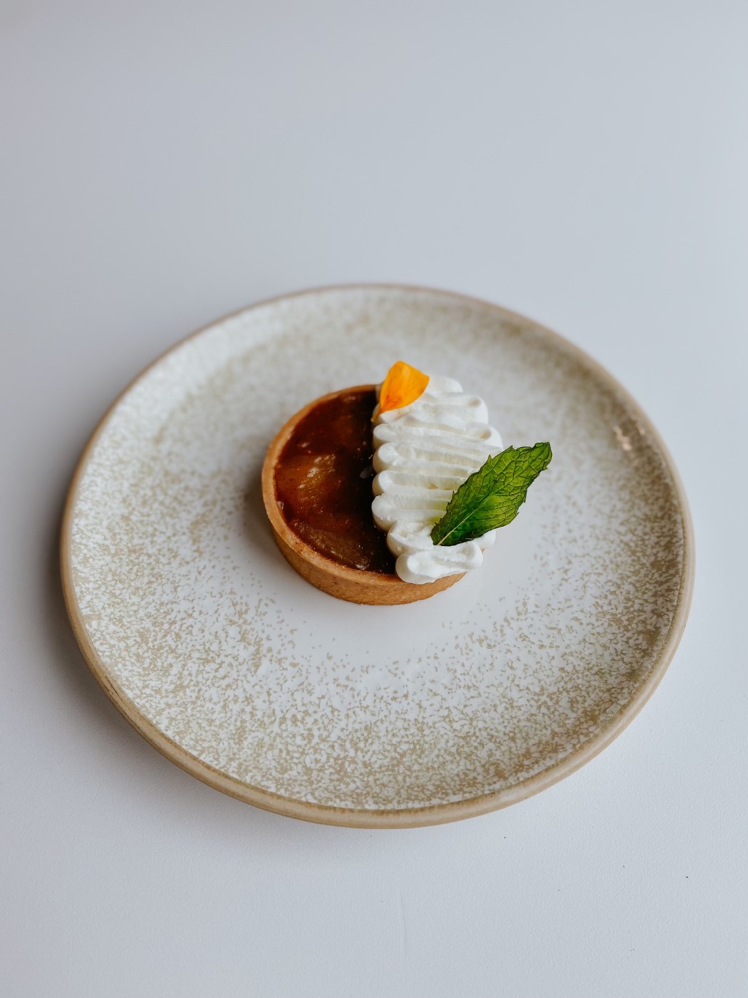 IMG_5032.jpeg IMG_5032.jpeg