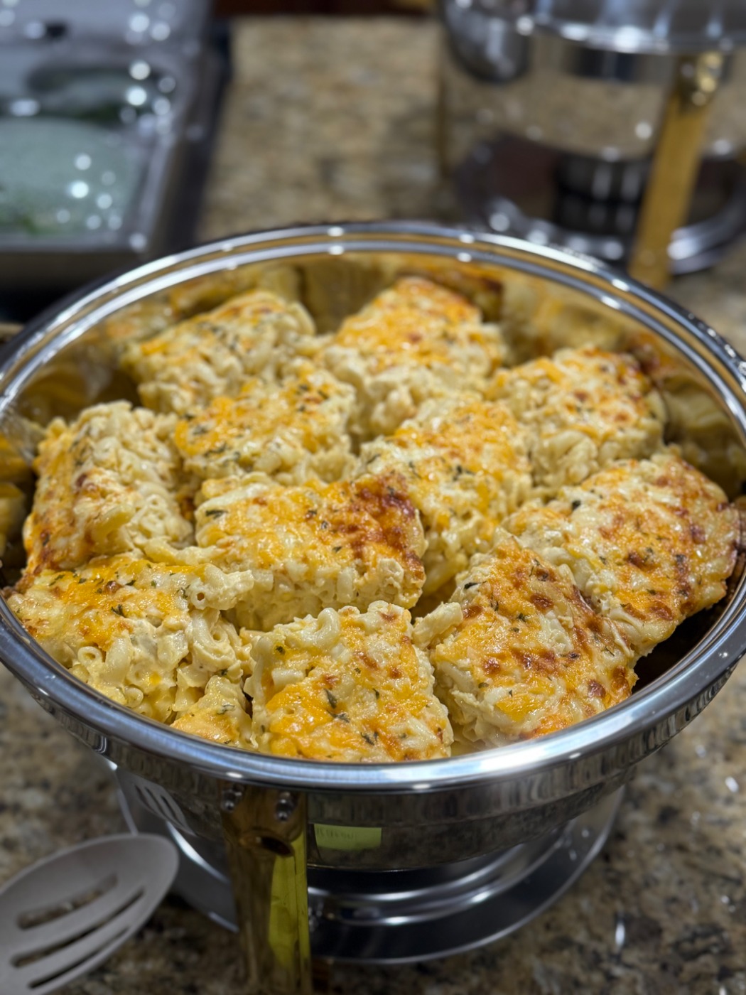 IMG_3567.jpeg IMG_3567.jpeg