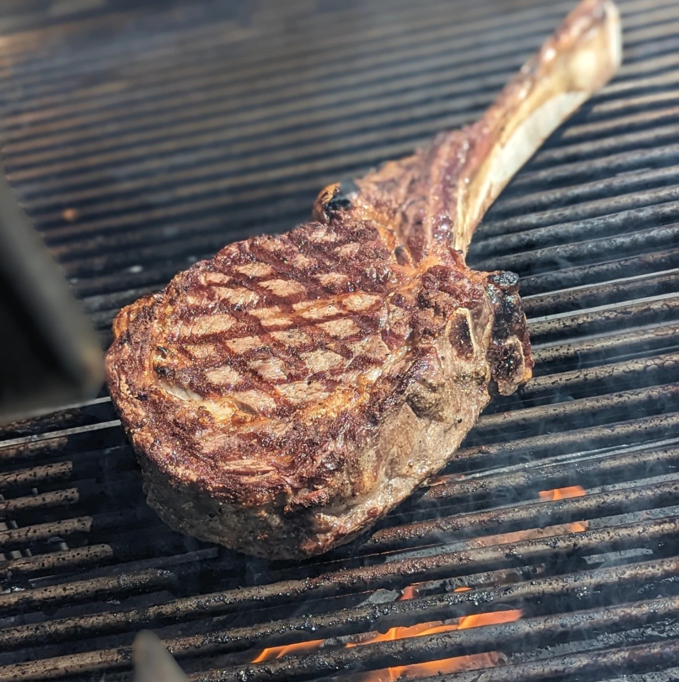 Screenshot 2025-11-19 at 5.50.26 a.m..png Screenshot 2025-11-19 at 5.50.26 a.m..png