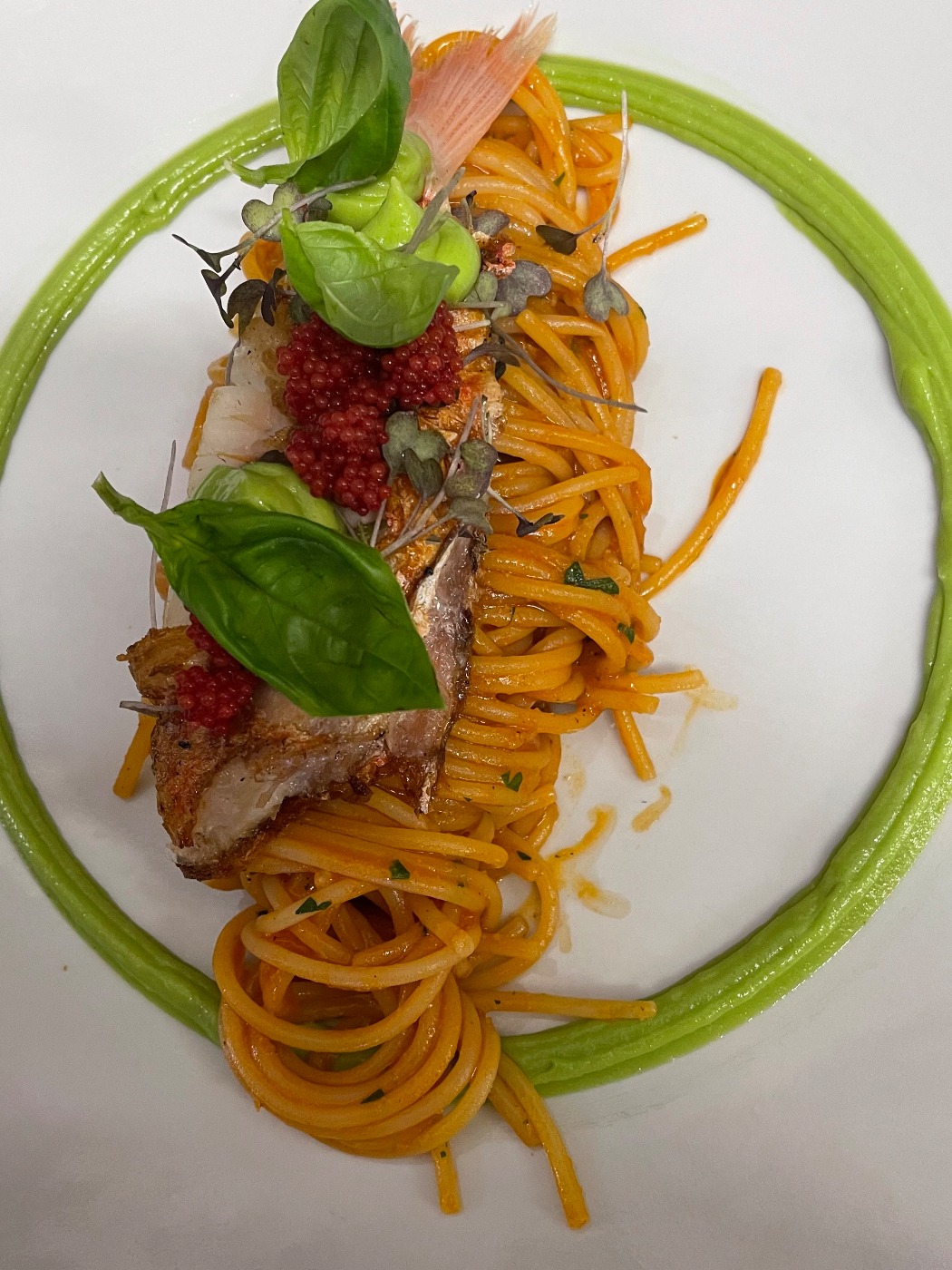 IMG_8116.jpeg IMG_8116.jpeg