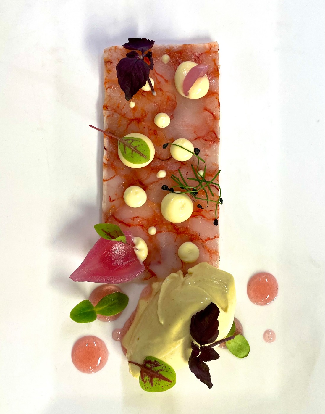 IMG_3368.jpeg IMG_3368.jpeg