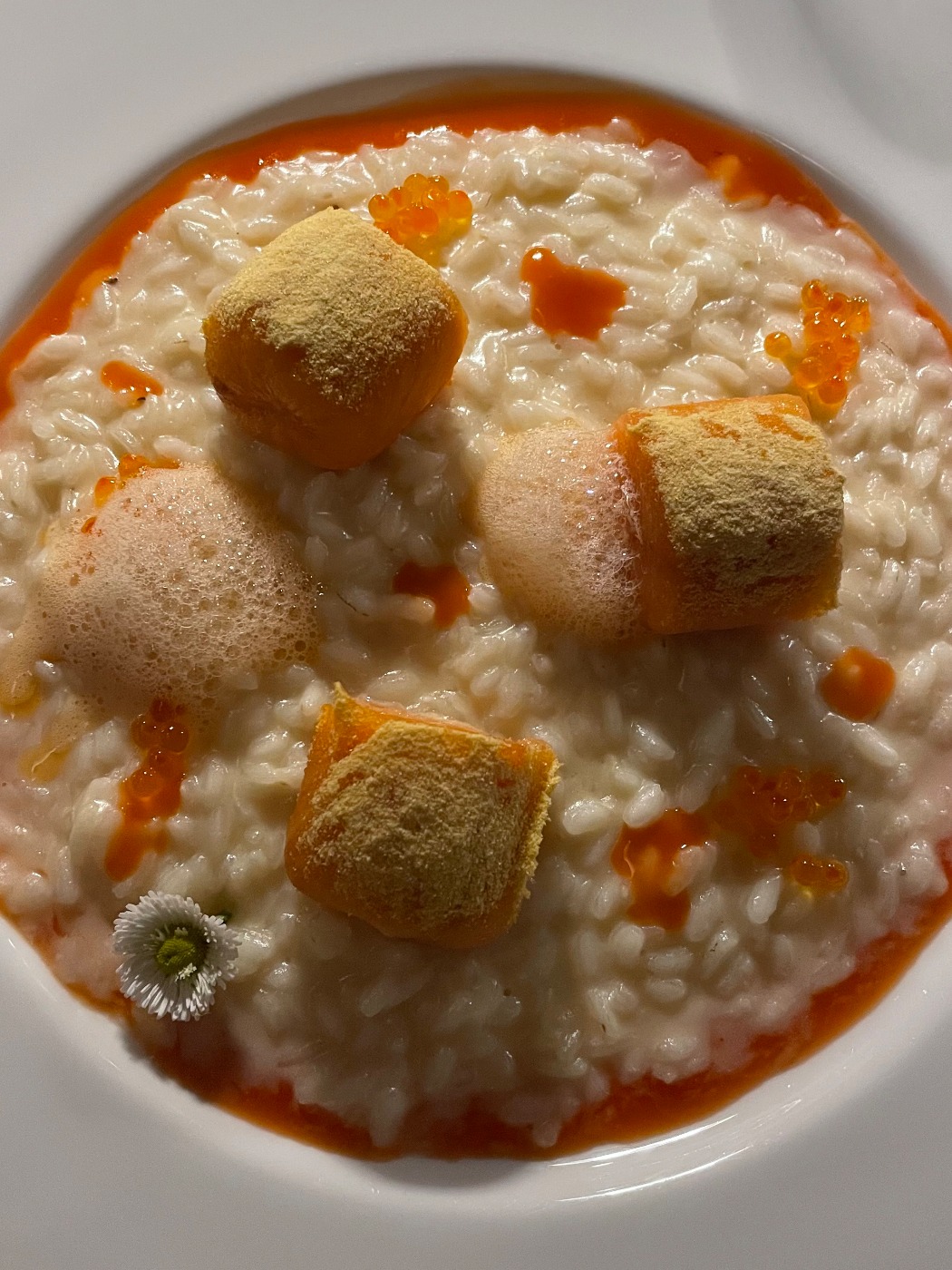 IMG_3328.jpeg IMG_3328.jpeg