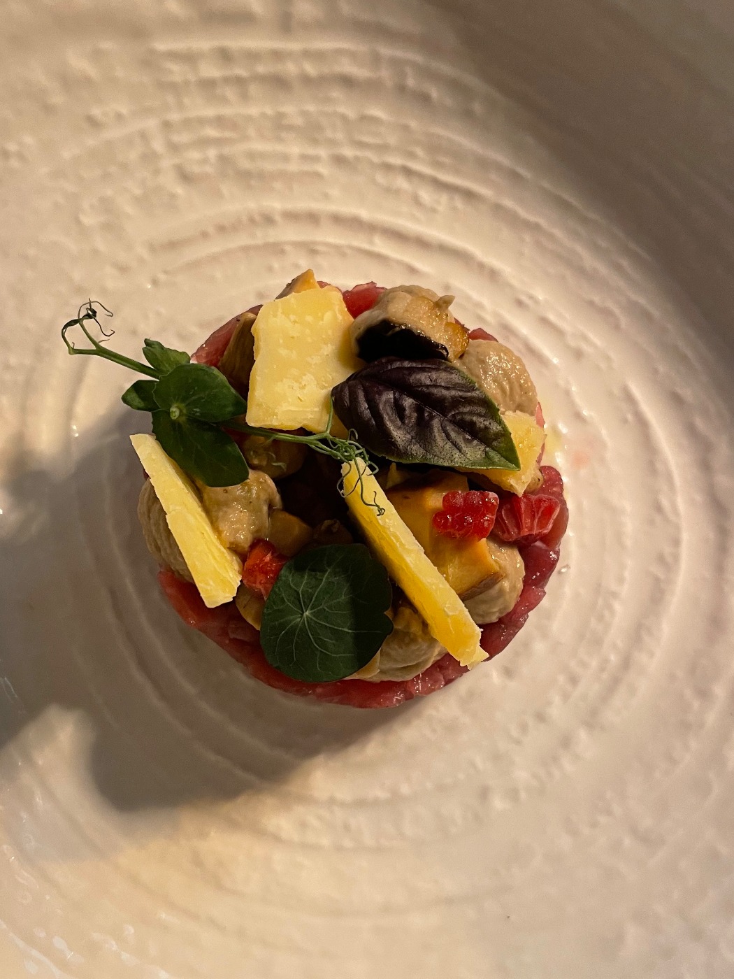 IMG_8656.jpeg IMG_8656.jpeg