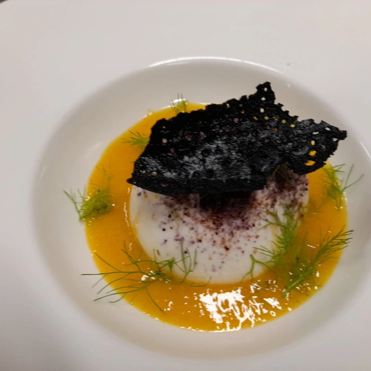 IMG_20220724_212624_879.jpg IMG_20220724_212624_879.jpg