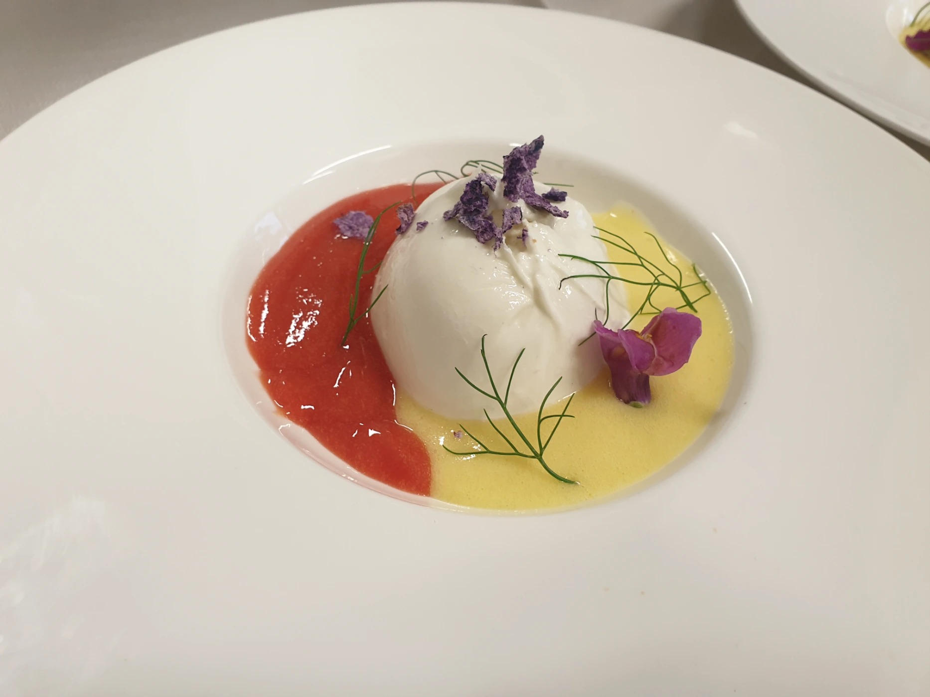 20220728_200014.jpg 20220728_200014.jpg