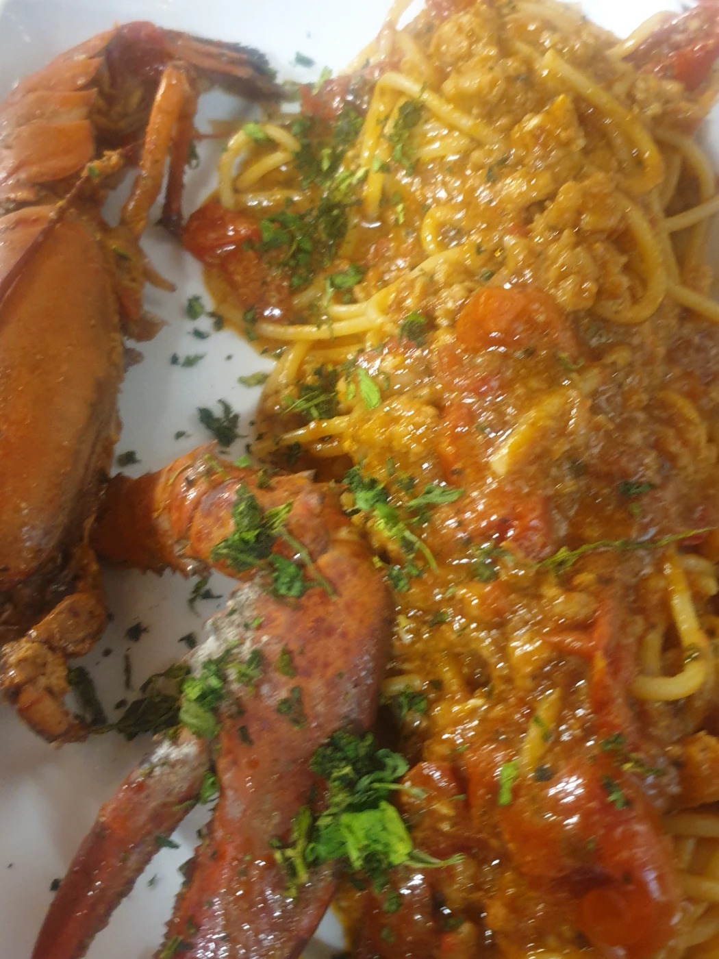 20230623_202941.jpg 20230623_202941.jpg