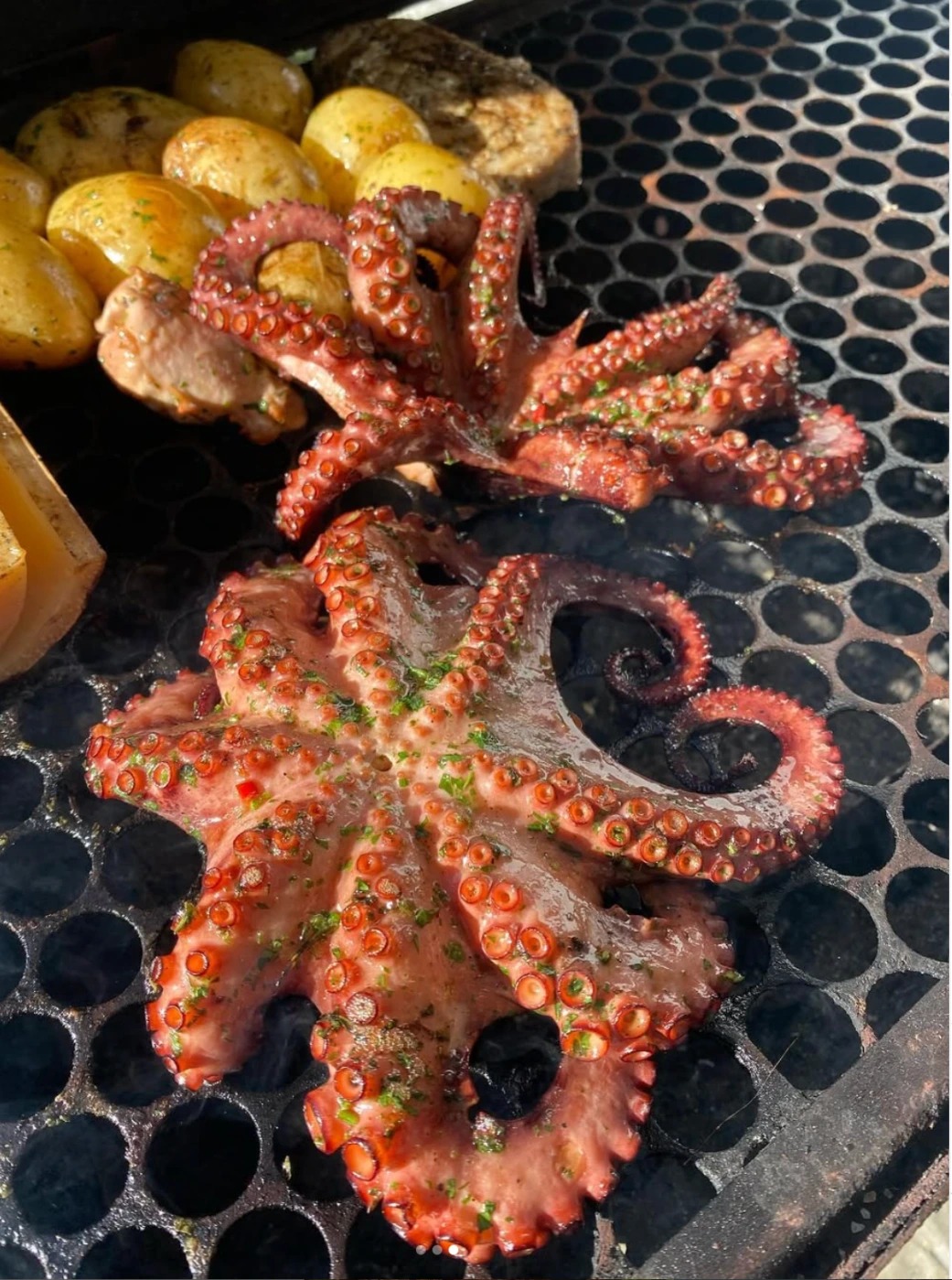 Screenshot 2025-11-19 at 12.20.22 p.m..png