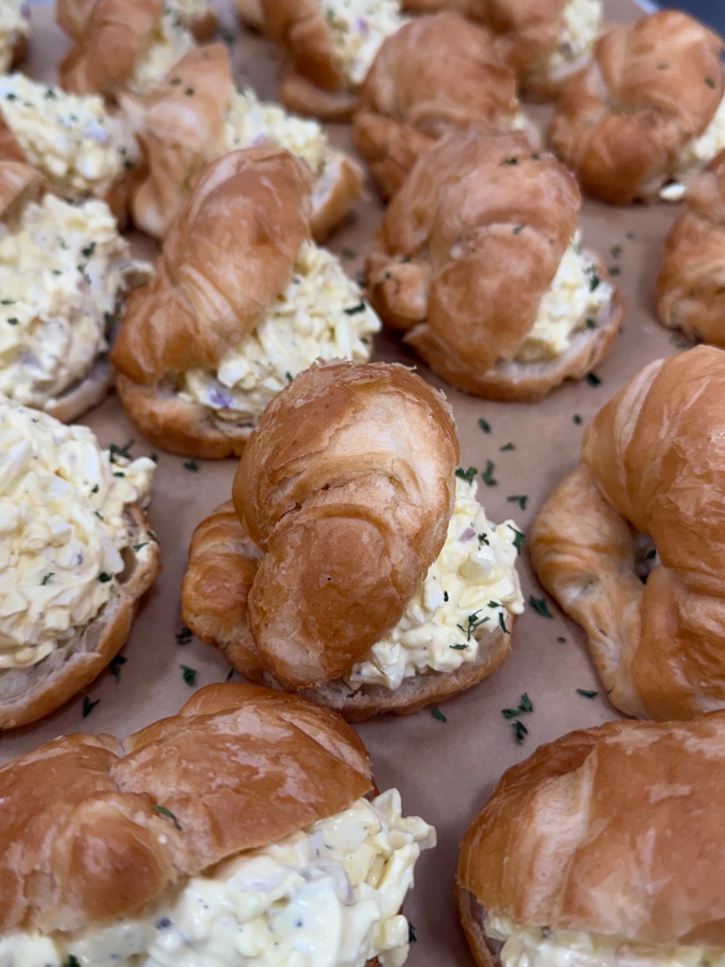 IMG_0855.jpeg IMG_0855.jpeg